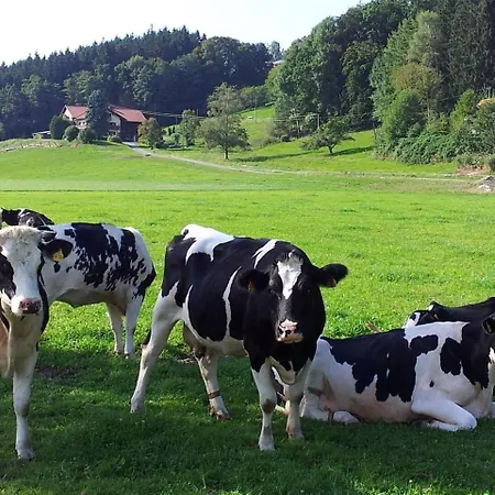 Zwischen Chiemsee Und Bergen Ug