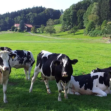 Zwischen Chiemsee Und Bergen Ug Appartamento