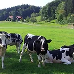 Zwischen Chiemsee Und Bergen Ug