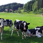 Zwischen Chiemsee Und Bergen Ug Apartament