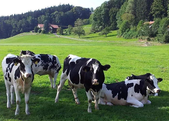 Zwischen Chiemsee Und Bergen Ug