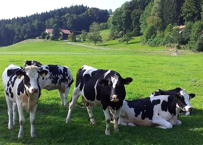 Zwischen Chiemsee Und Bergen Ug Appartamento